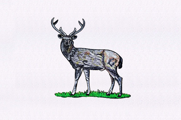 White Tailed Deer Design